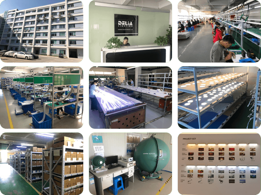 CACKLE brand and DELIA Lighting production line facilities, showing professional manufacturing process, lamp testing, and factory infrastructure.